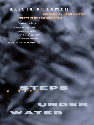 cover image of Steps under Water